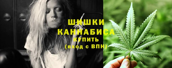 apvp Тында