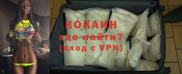 молекула духа Туринск