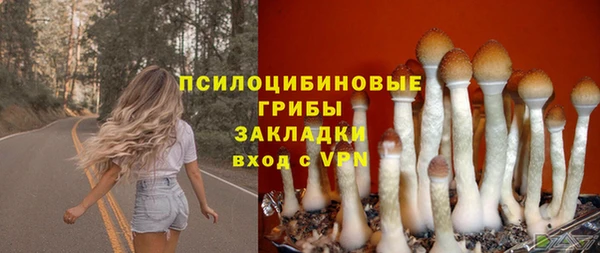 каннабис Бородино