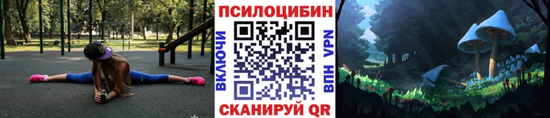 Галлюциногенные грибы Magic Shrooms Новосокольники